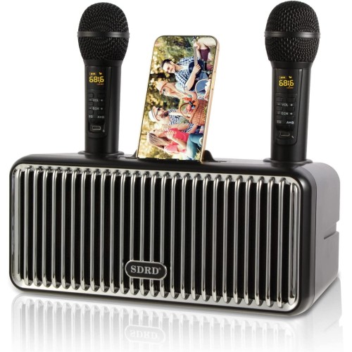 Karaoke bluetooth reproduktor Dlara SDRD SD-319, černá