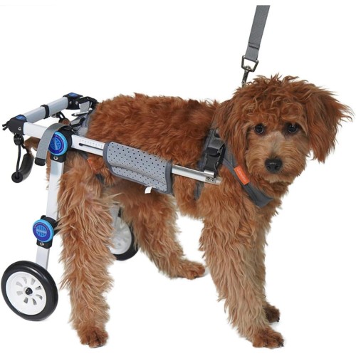 Skládací invalidní vozík pro psy Wyjw, velikost XS (4-8kg)