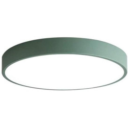 LED svítidlo s dálkovým ovladačem AVIOR Deckenleuchte, 48 W, 30 cm, zelená