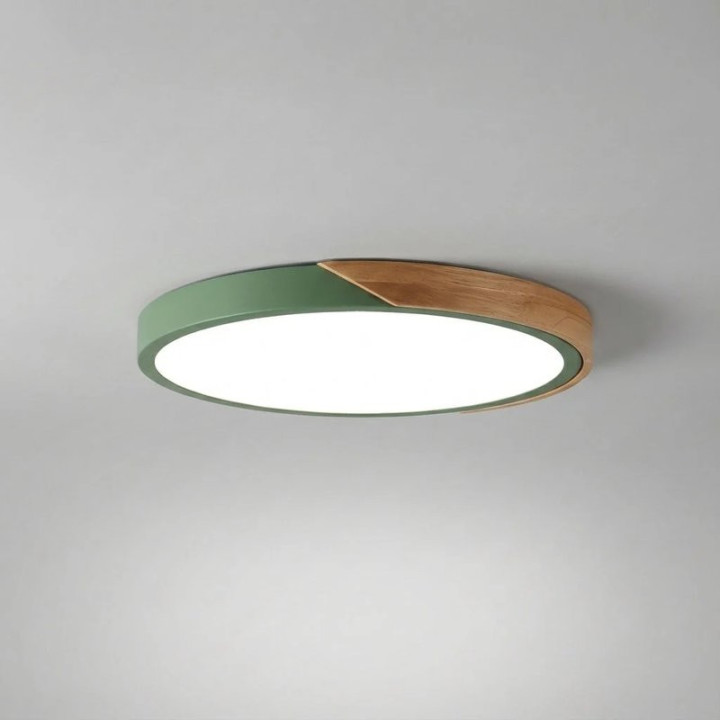 LED stropní světlo Ceiling Lamp Glidenza, 31 cm, zelená