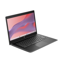 HP Fortis G1i 14